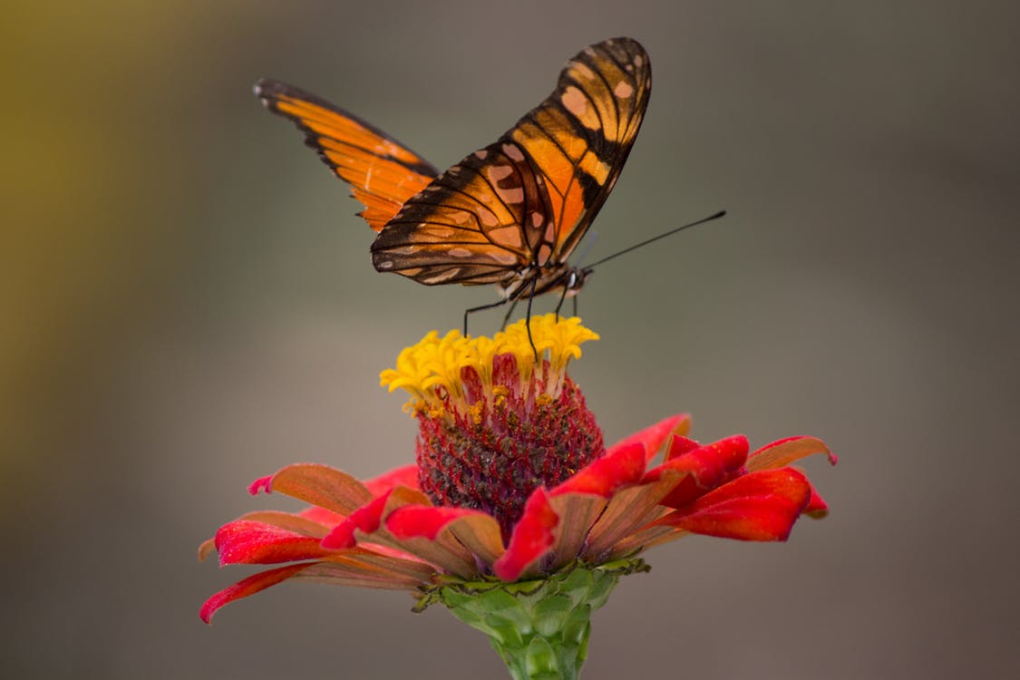 photography courses hyderabad