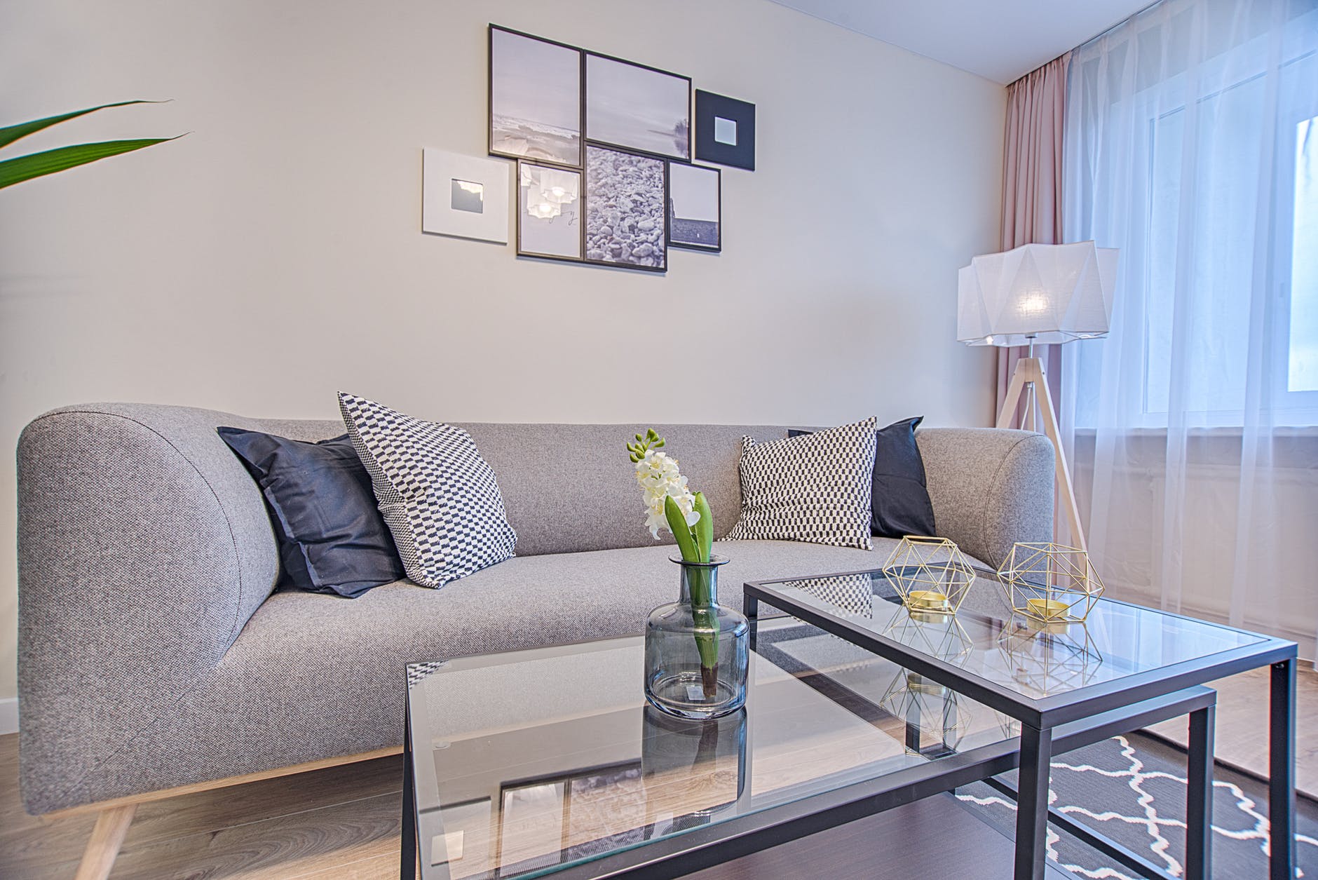 interior design courses