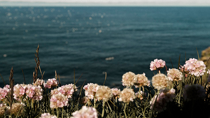 photography weekend courses