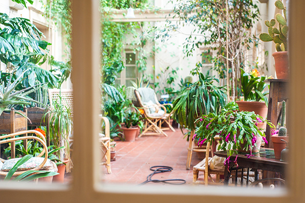 Beautify Your Home Garden in Interior Designing