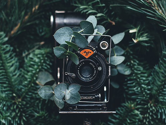 Photography Courses Hamstech