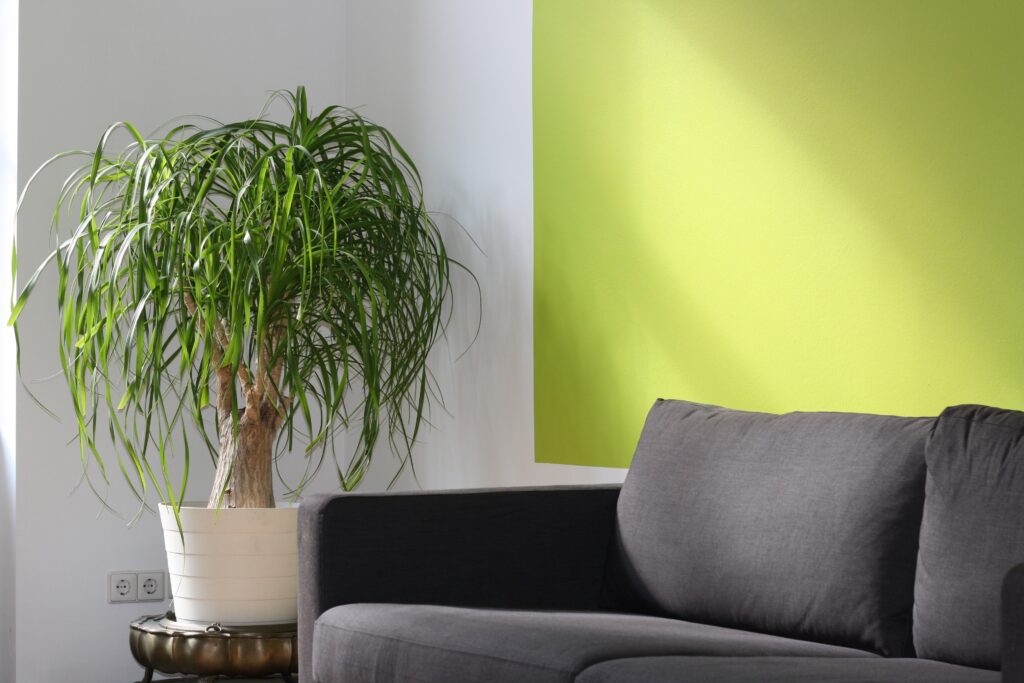 diploma in interior designing course