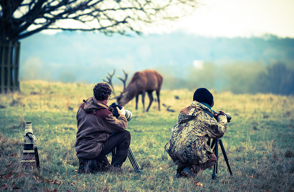 short term courses photography