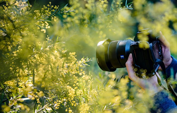 Professional Photography Course